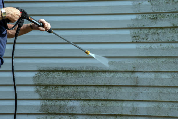 Best Concrete Pressure Washing  in Bayport, MN