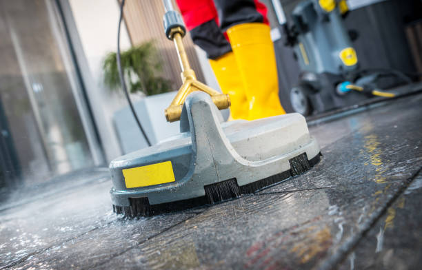 Best Power Washing Near Me  in Bayport, MN